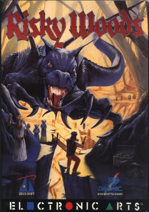 Download Risky Woods Disk1 Rom