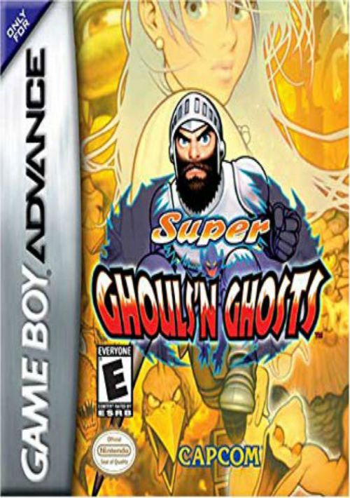 Super Ghouls 'N Ghosts rom