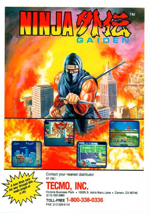 Ninja Gaiden-mame rom