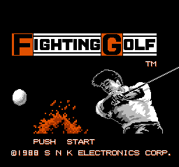 Fighting Golf (Japan) rom