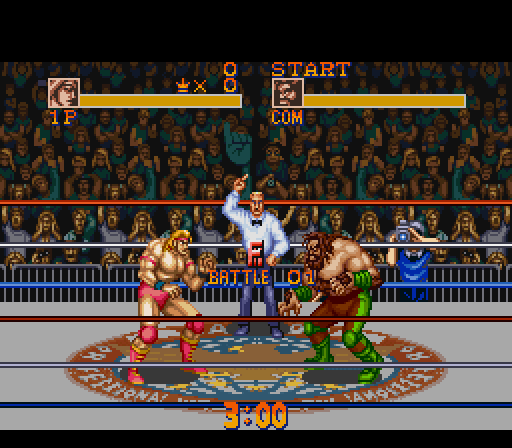 Saturday Night Slam master rom