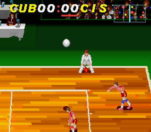 Dig and Spike Vollyball rom