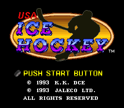 USA Ice Hockey (Japan) (Rev A) rom