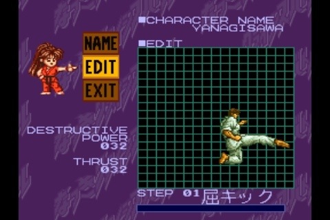 Natsuki Crisis Battle (Japan) rom