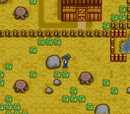 Bokujou Monogatari (Japan) rom